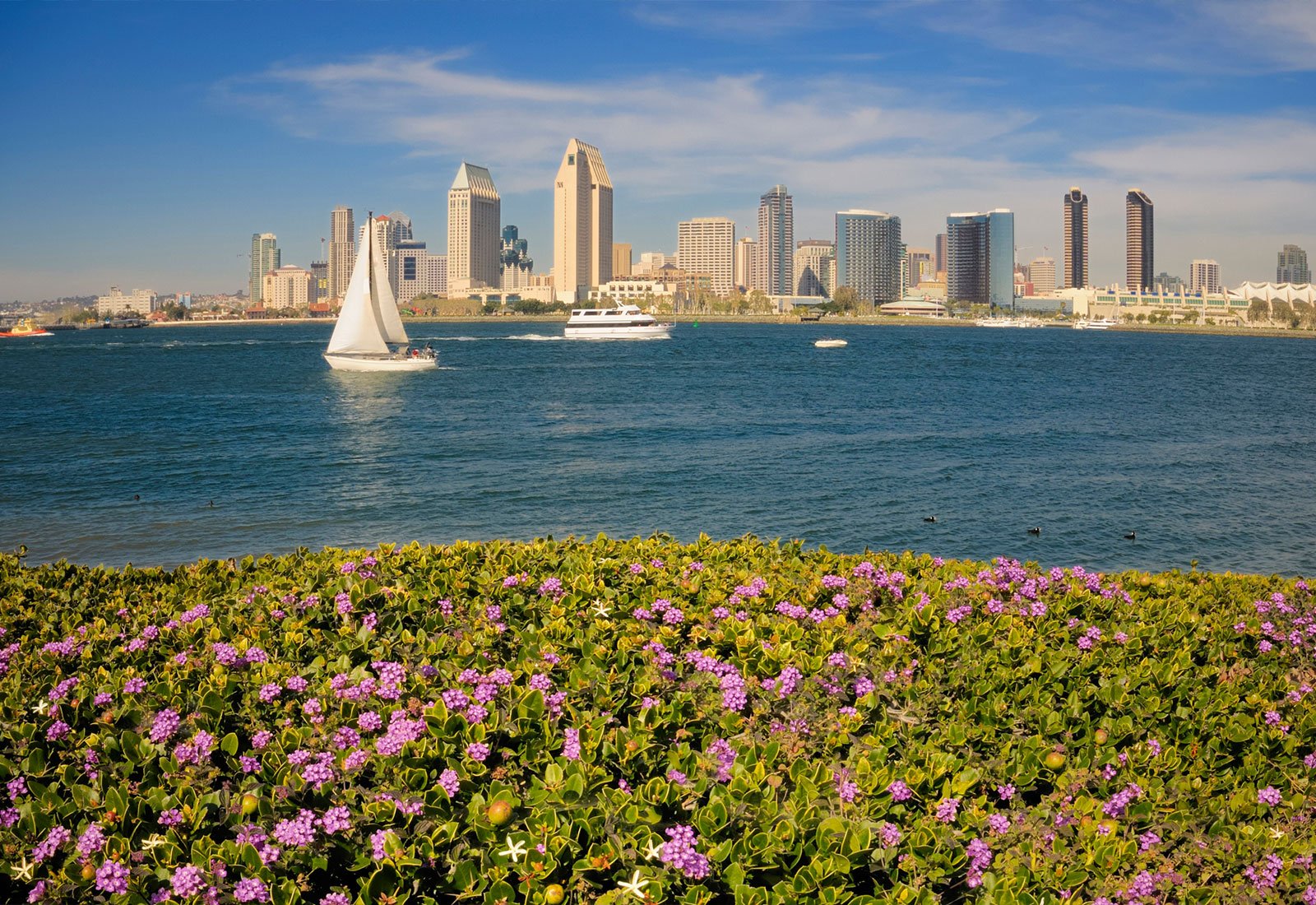 San Diego's Seaport Village - San Diego Sailing Tours ~ #1 Sailing