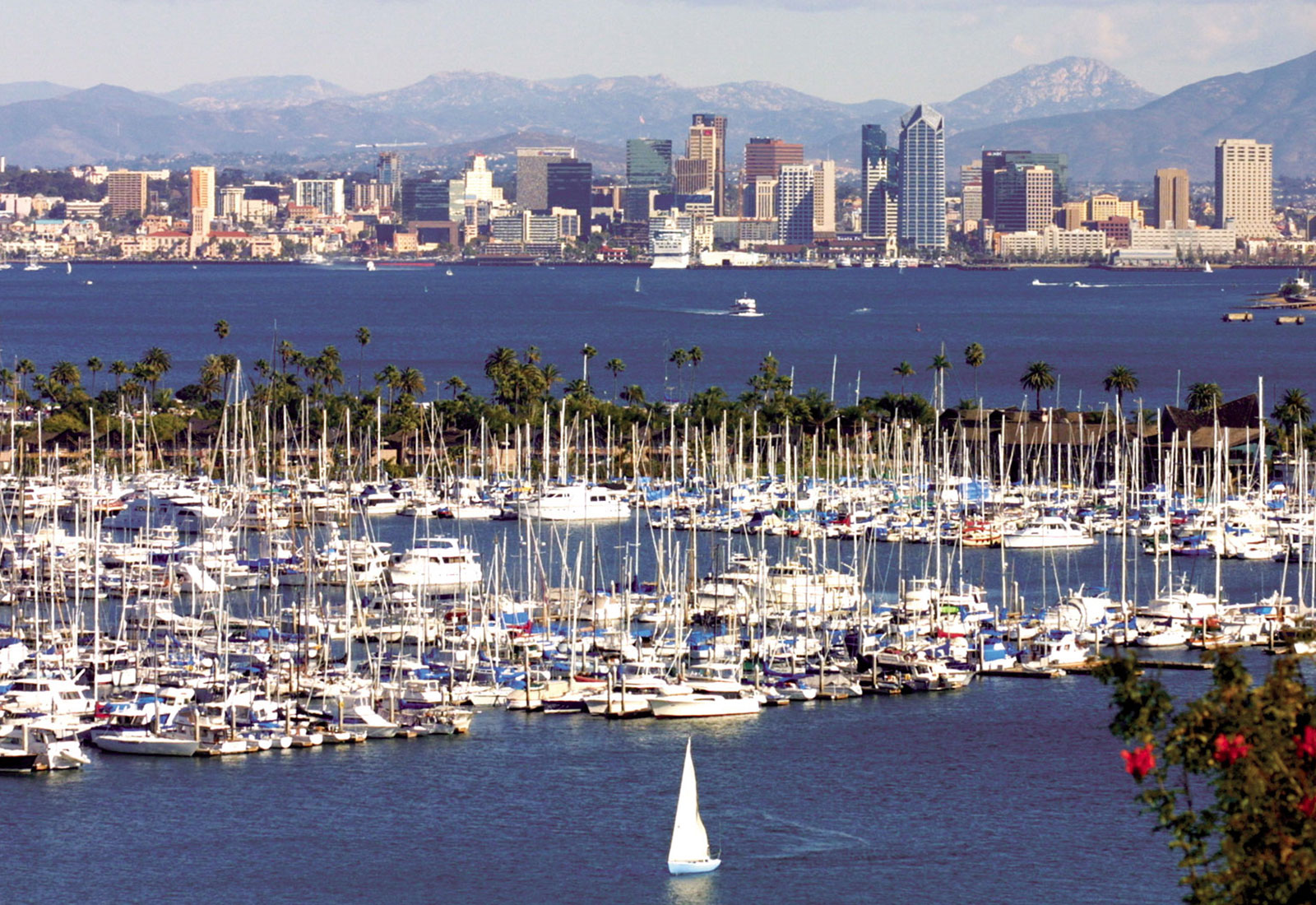 San Diego Harbor: Cruises, Boat Tours & Whale Watching Excursions